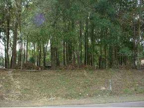 NE 35 St., Ocala, FL 34479