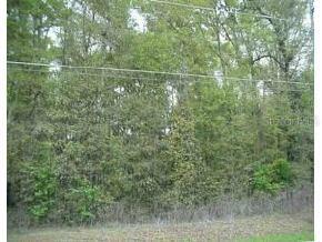 SE 36 Ave., Belleview, FL 34420