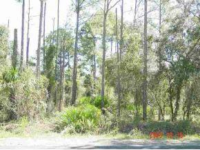 SW Shorewood Dr., Dunnellon, FL 34431
