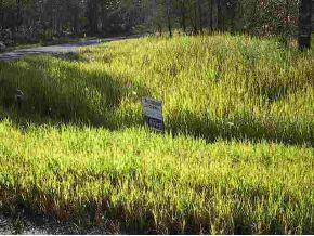 Oak Tr., Ocala, FL 34472