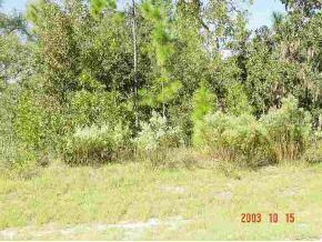 SE 141 Ln., Summerfield, FL 34491