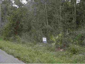 Juniper Ps Way, Ocala, FL 34480