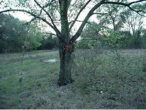 12060 SE 112 Ave Rd., Belleview, FL 34420