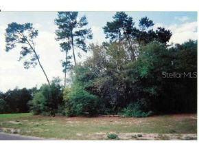 SW Mar Oaks Golf Rd., Ocala, FL 34473