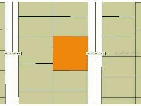 SE 98 Ter., Summerfield, FL 34491