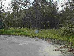 Pine Crs Rd., Ocala, FL 34472