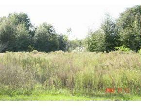 SE 28 Ct., Belleview, FL 34420