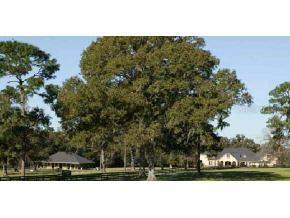 9128 NW Highway 225a, Ocala, FL 34482