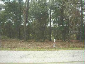 SE 165 Ter., Ocklawaha, FL 32179