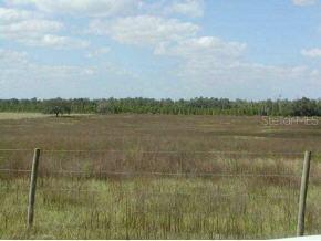 NW 102 Blvd., Wildwood, FL 34785