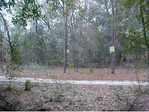 SE 162 Ct., Summerfield, FL 34483