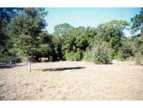 Highway 314a, Ocala, FL 32179