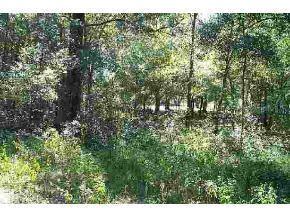 SE 53 Ave., Summerfield, FL 34491