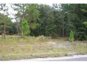 LOT 6 SE Lot 6 Locust Crse Silver, Silver Springs Shores, FL 34472