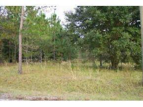LOT 7 SE Lot 7 Locust Crse Silver, Silver Springs Shores, FL 34472