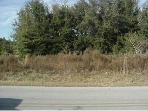 SE 148 Pl., Summerfield, FL 34491