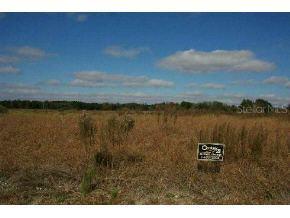 LOT 22 SW Lot 22 Tiger Lake Blvd., Dunnellon, FL 34431