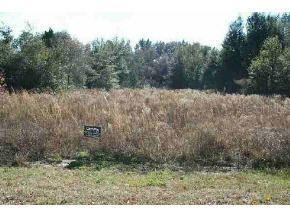 LOT 8 SW Lot 8 Beach Rd., Dunnellon, FL 34431