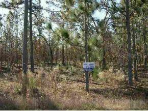 SW 78 Pl., Dunnellon, FL 34432
