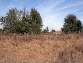 SW 114 Pl., Dunnellon, FL 34432