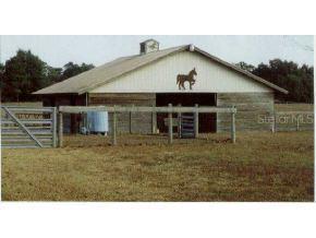 6881 SE 180 Ave Rd., Ocklawaha, FL 32179