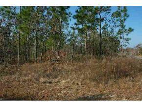 LOT 1 SE Lot 1 129 Ct., Dunnellon, FL 34431