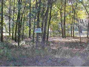 NE 225 Null St., Orange Springs, FL 32182