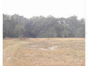 519 A, Wildwood, FL 34785