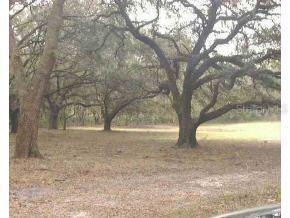 519 A, Wildwood, FL 34785