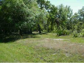 SE 180 Ave Rd., Ocklawaha, FL 32179