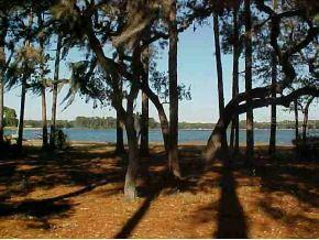 NE 222nd Null St., Orange Springs, FL 32182