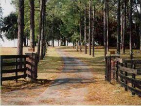 2550 SW 200 Ave., Dunnellon, FL 34431