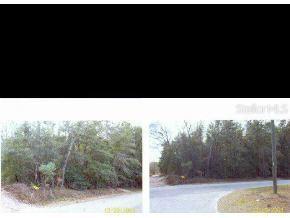 SE 139 Ln., Summerfield, FL 34491