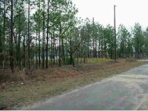 Hemlock Trc Ct., Ocala, FL 34472