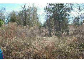 Lot 19 SW Lot 19 Marine Blvd., Dunnellon, FL 34431