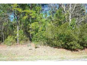 Lot 22 SW Lot 22 Marine Blvd., Dunnellon, FL 34431
