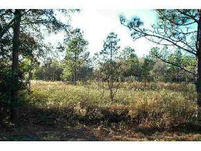 E Breezy Pt Dr., Dunnellon, FL 34431