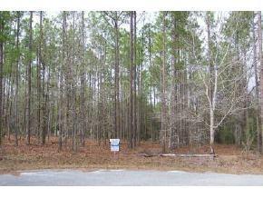 SW 93rd Ln., Dunnellon, FL 34431