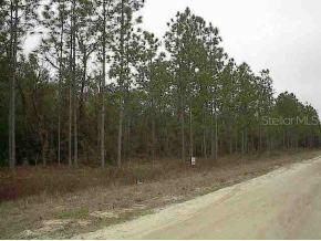 SW 64 St Rd., Ocala, FL 34481