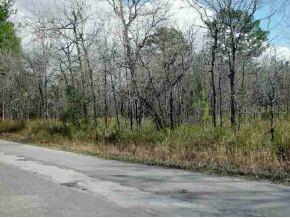 Pine Ter., Ocala, FL 34472