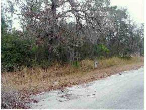 SE Locust Pass Ln., Ocala, FL 34472