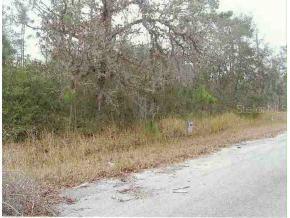 SE Locust Pass Ln., Ocala, FL 34472