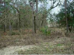 Hemlock Trc Ct., Ocala, FL 34472