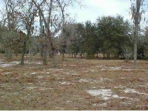 10653 NE 210 Null St., Orange Springs, FL 32134