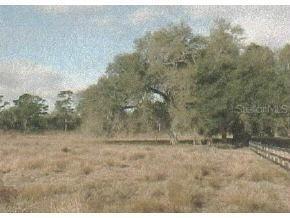 NE Highway 314 Null, Silver Springs, FL 34488