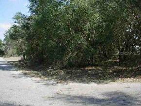 Locust Run Cir., Ocala, FL 34472