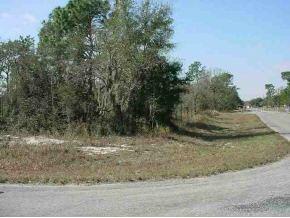 Locust Cse Pass, Ocala, FL 34472