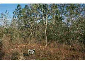 LOT 41 SW Lot 41 Paradise Heights, Dunnellon, FL 34431