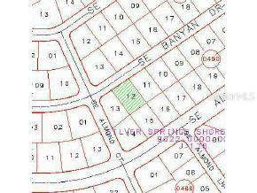Banyan Dr., Ocala, FL 34472