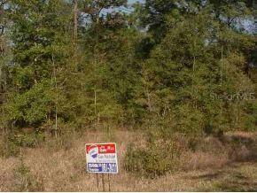 SW Starling, Dunnellon, FL 34431
